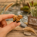 Capybara Fidget